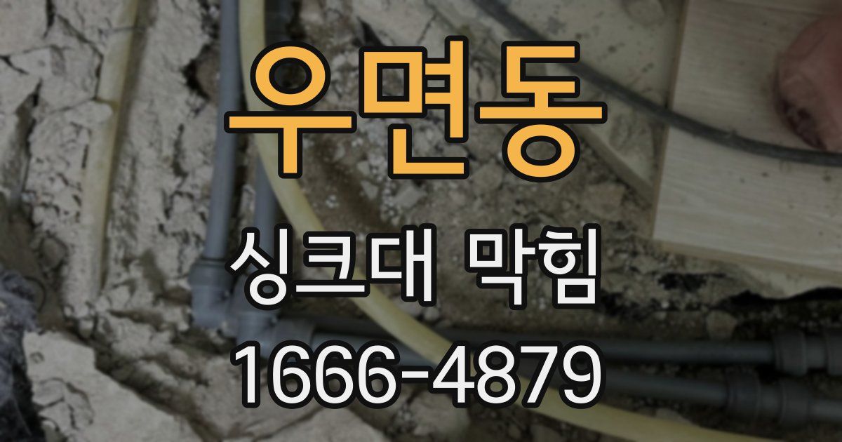 우면동 싱크대 막힘