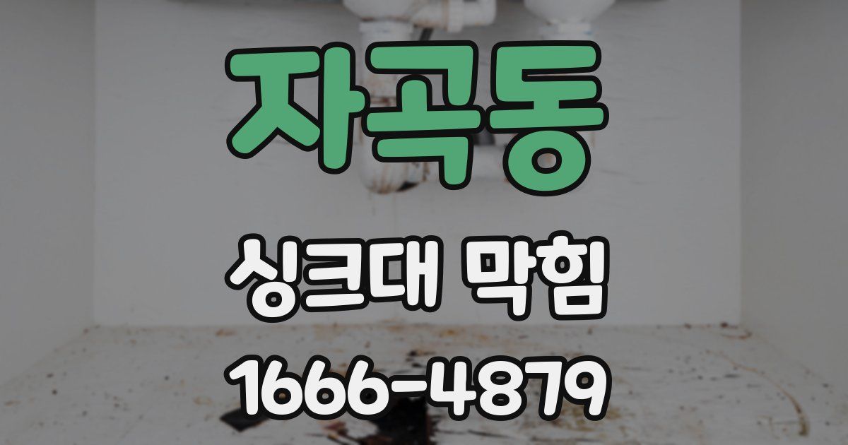 자곡동 싱크대 막힘