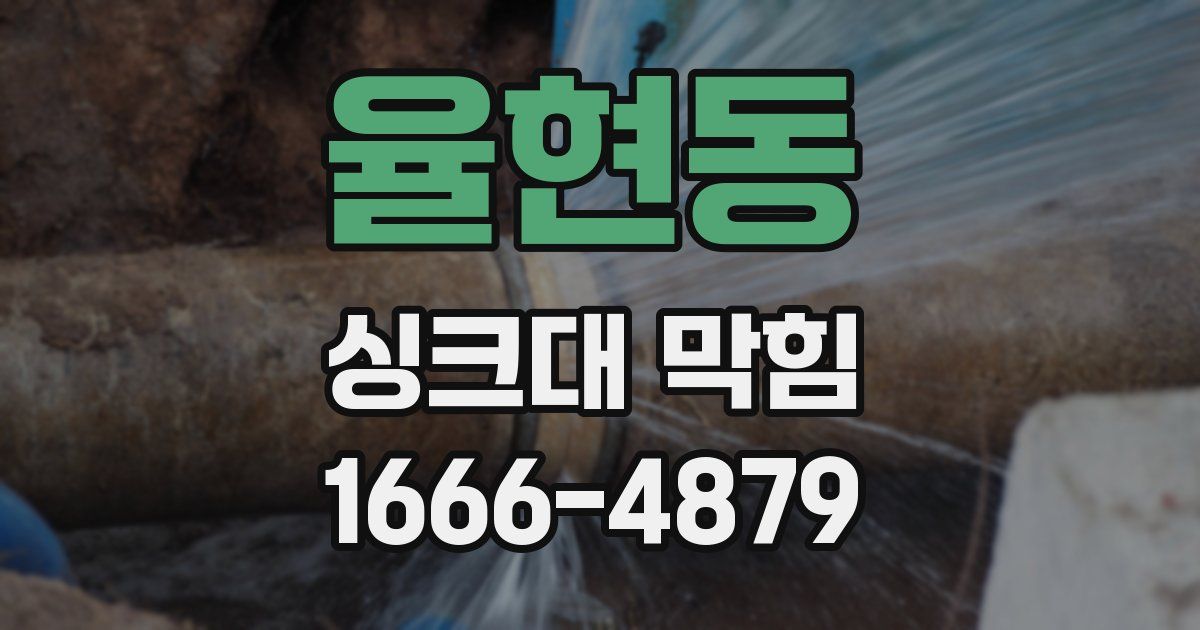 율현동 싱크대 막힘