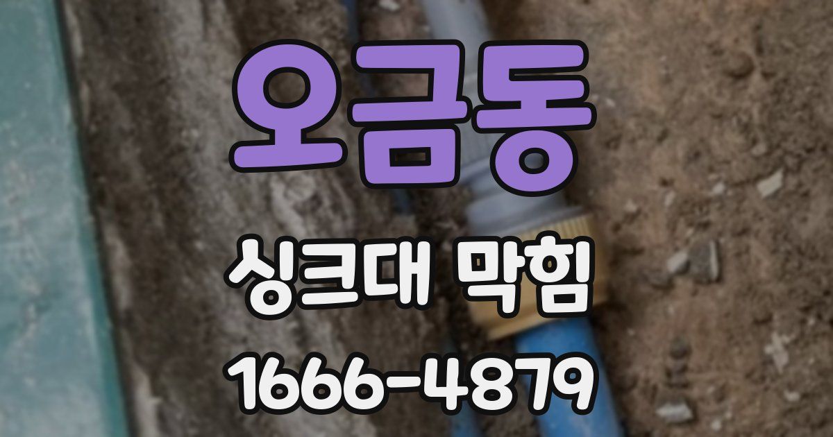 오금동 싱크대 막힘
