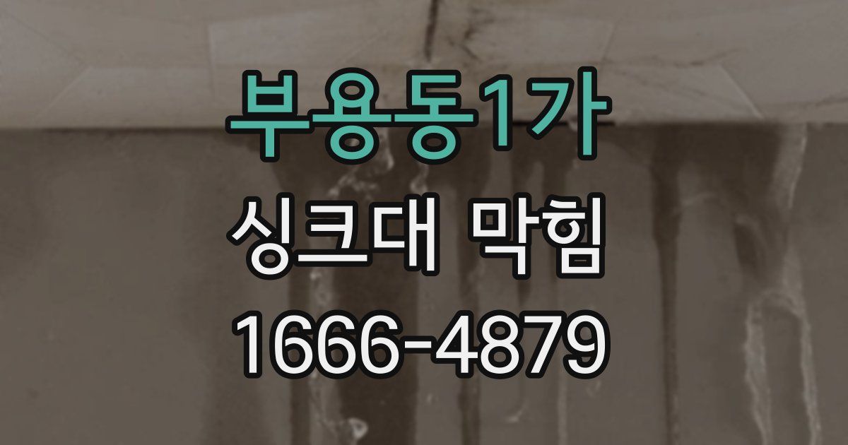 부용동1가 싱크대 막힘