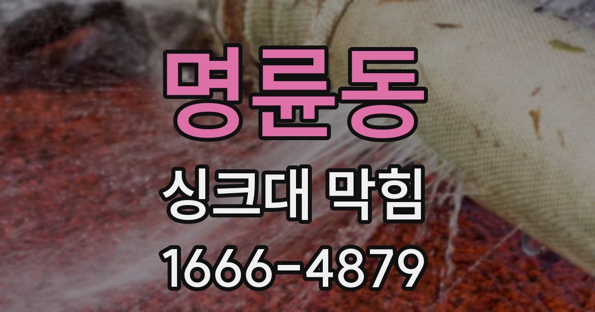 명륜동 싱크대 막힘