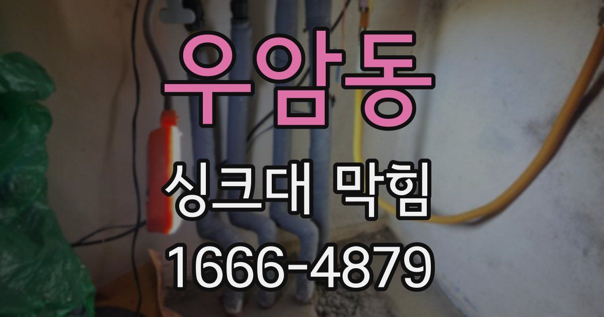우암동 싱크대 막힘