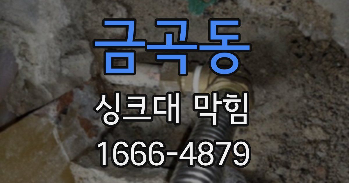 금곡동 싱크대 막힘