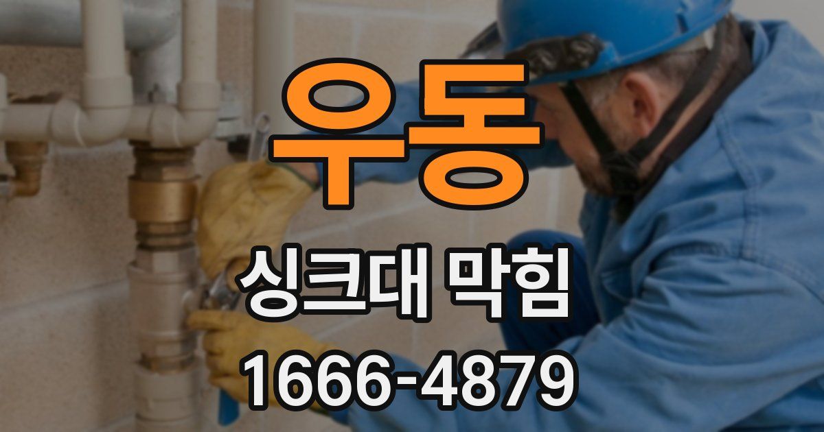 우동 싱크대 막힘