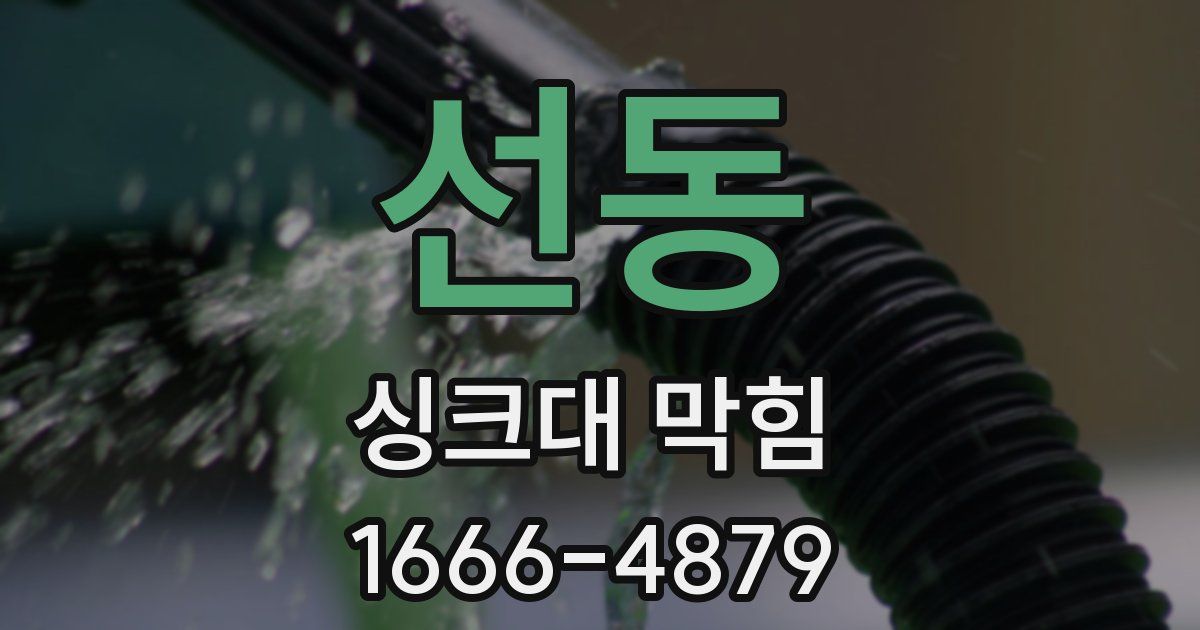 선동 싱크대 막힘