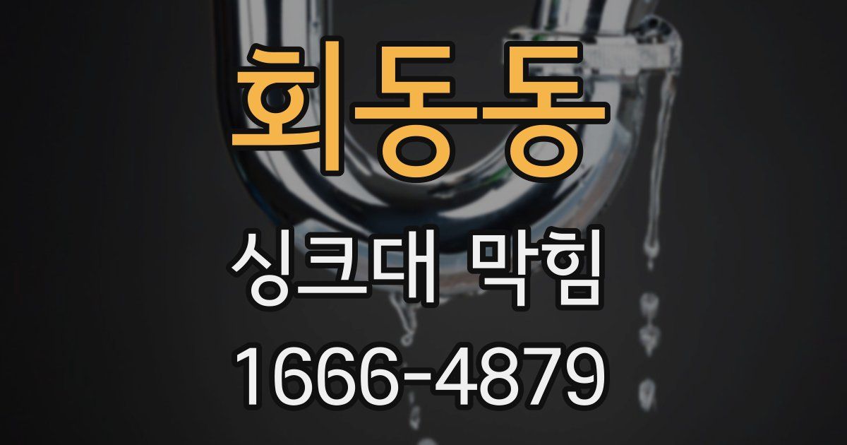 회동동 싱크대 막힘