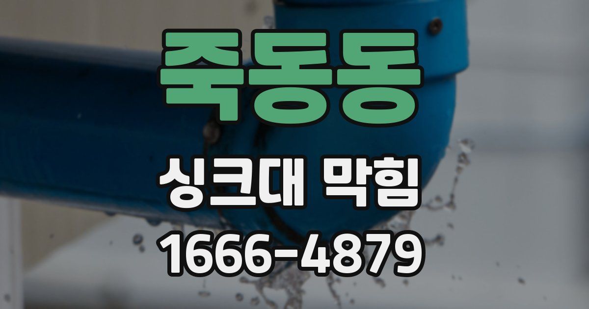 죽동동 싱크대 막힘