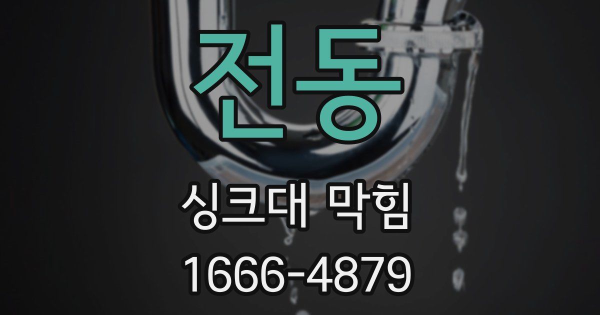 전동 싱크대 막힘