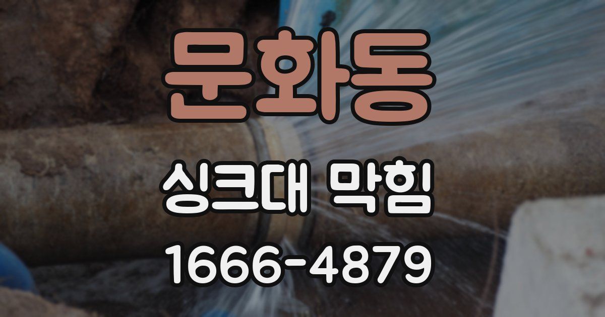 문화동 싱크대 막힘