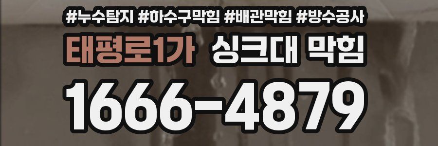 태평로1가 싱크대 막힘