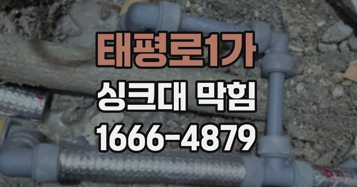 태평로1가 싱크대 막힘