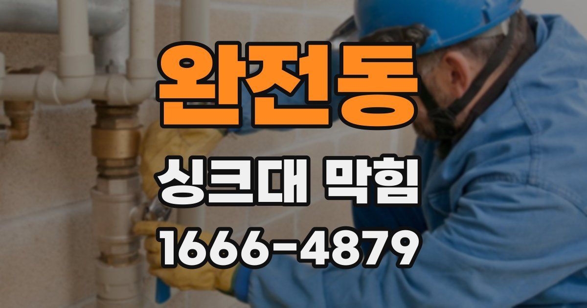 완전동 싱크대 막힘