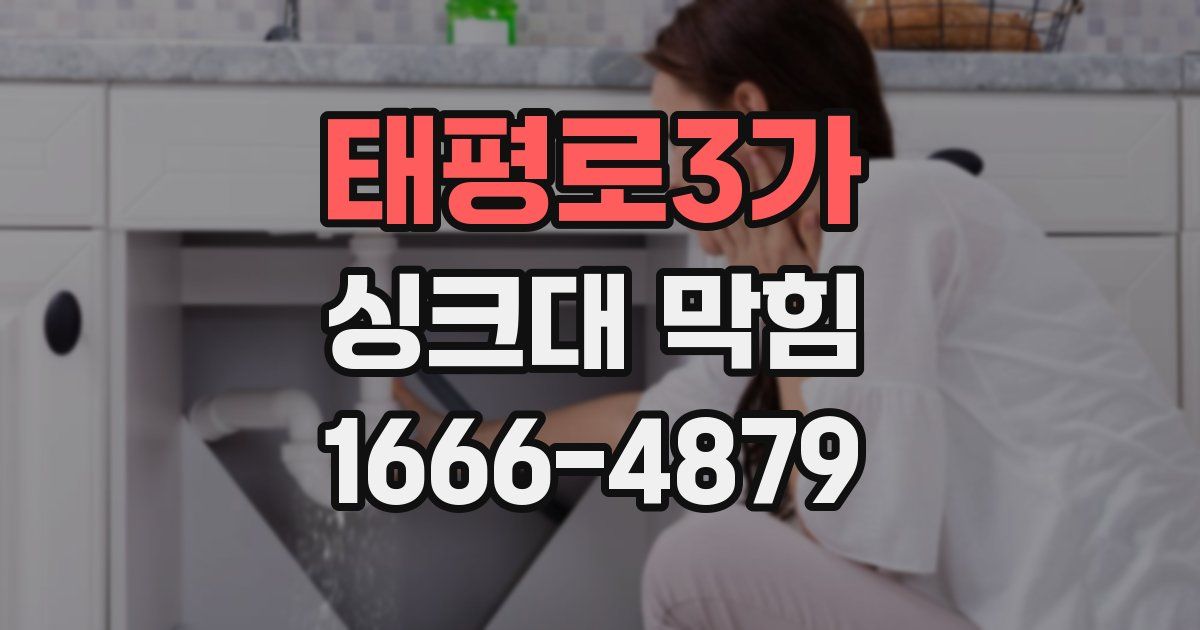 태평로3가 싱크대 막힘