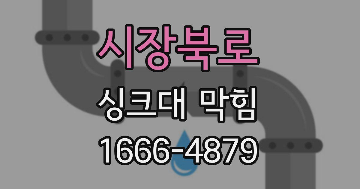 시장북로 싱크대 막힘