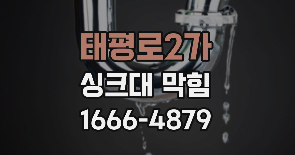 태평로2가 싱크대 막힘