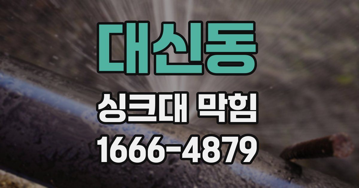대신동 싱크대 막힘