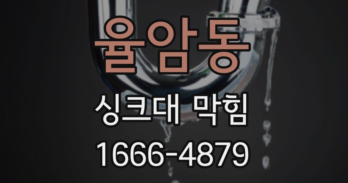 율암동 싱크대 막힘