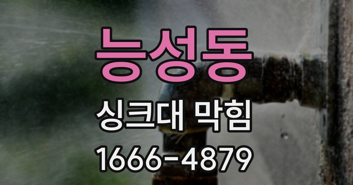 능성동 싱크대 막힘