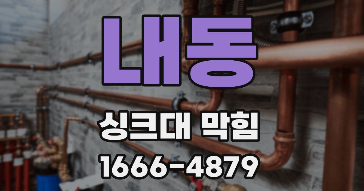 내동 싱크대 막힘
