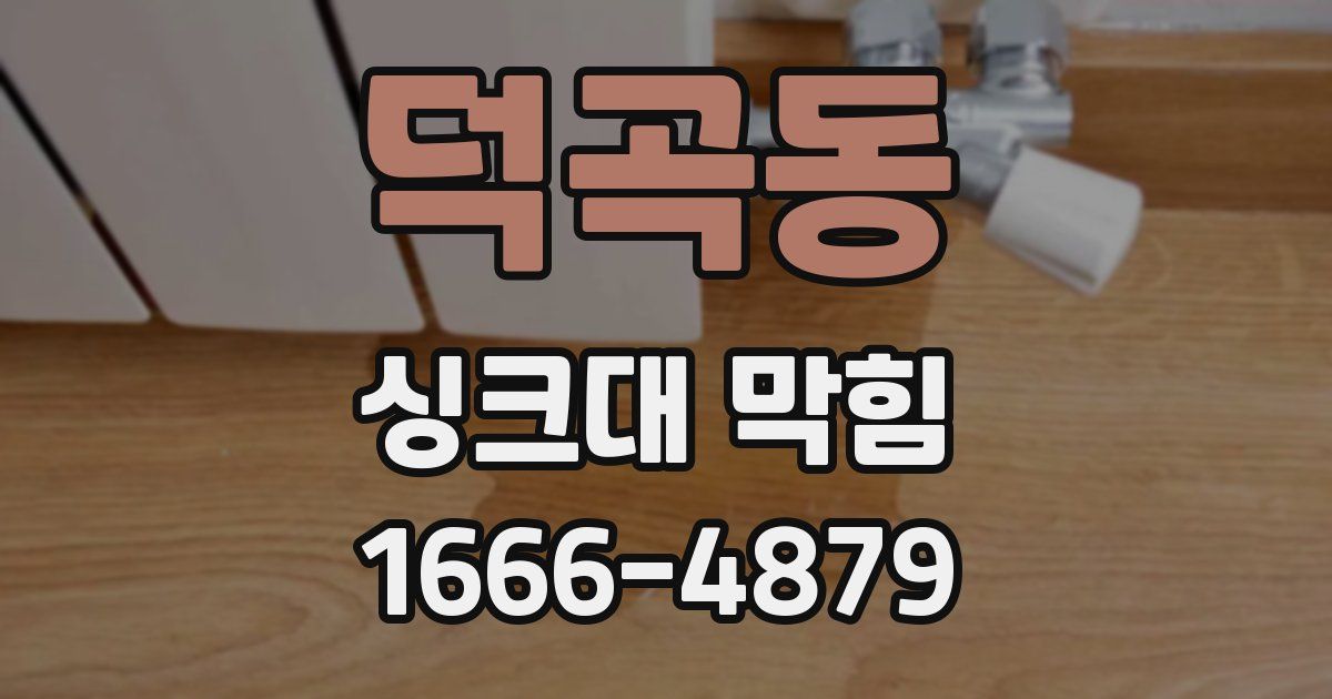 덕곡동 싱크대 막힘
