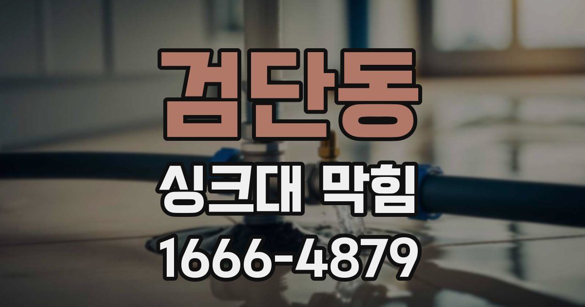 검단동 싱크대 막힘