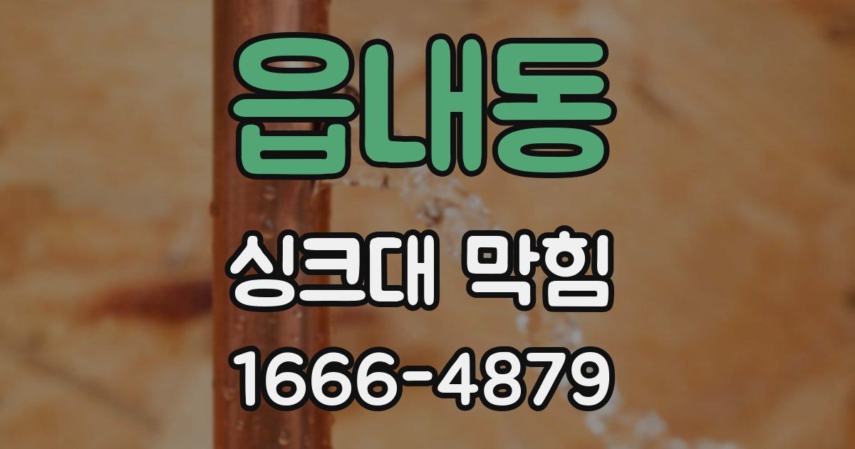 읍내동 싱크대 막힘