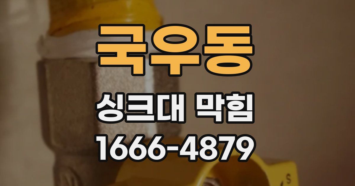 국우동 싱크대 막힘