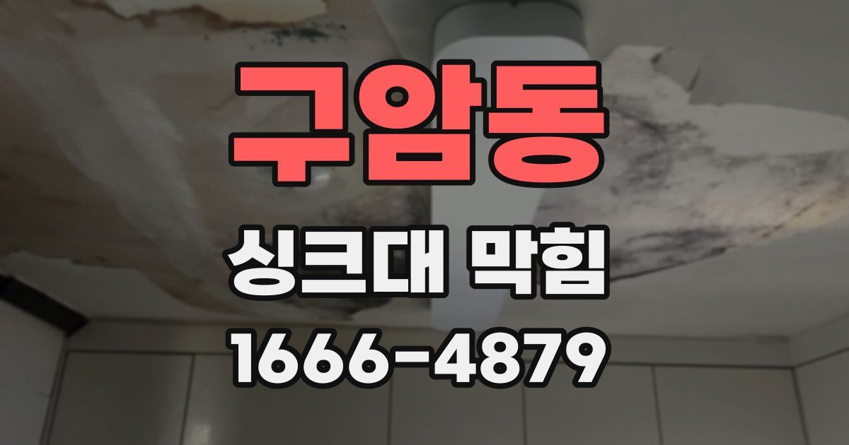 구암동 싱크대 막힘
