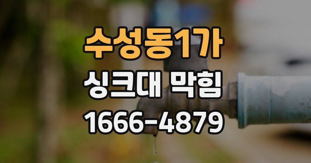 수성동1가 싱크대 막힘