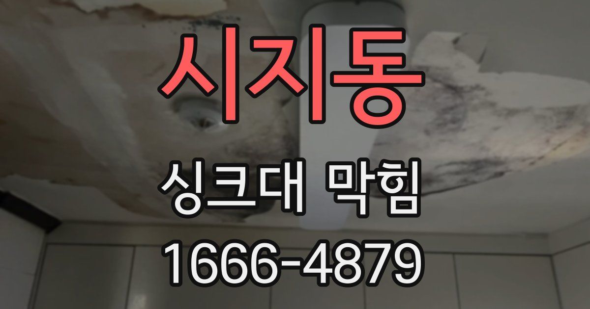 시지동 싱크대 막힘