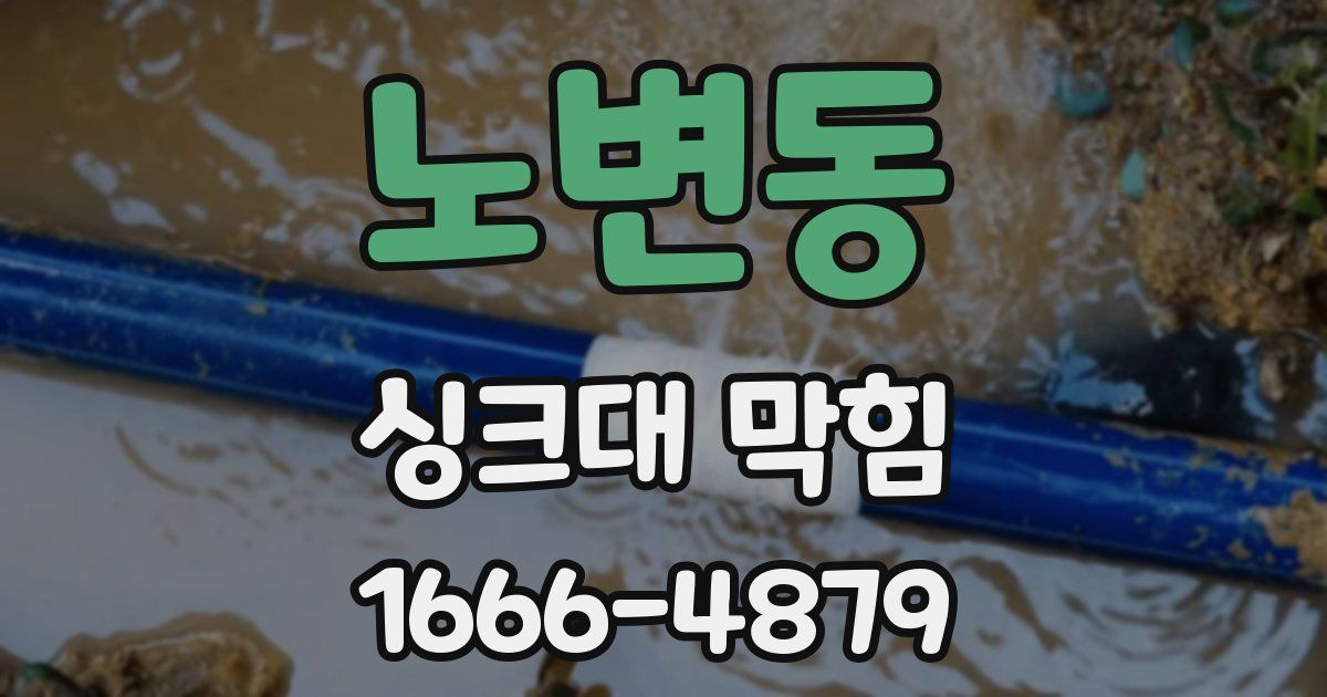노변동 싱크대 막힘
