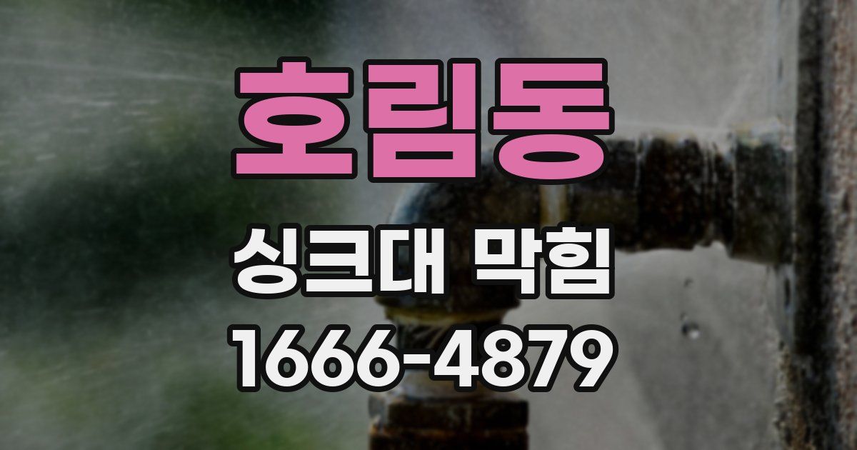 호림동 싱크대 막힘