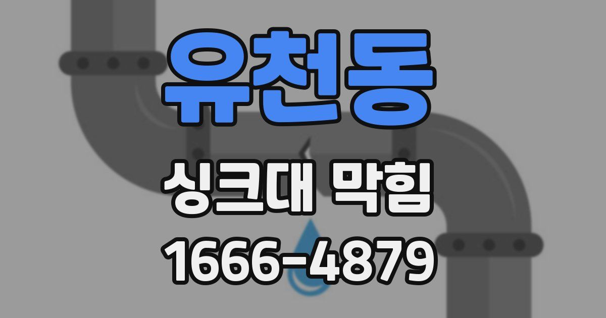 유천동 싱크대 막힘