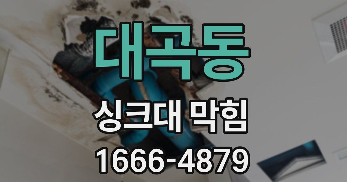 대곡동 싱크대 막힘