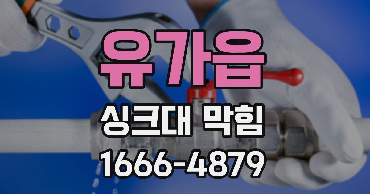 유가읍 싱크대 막힘