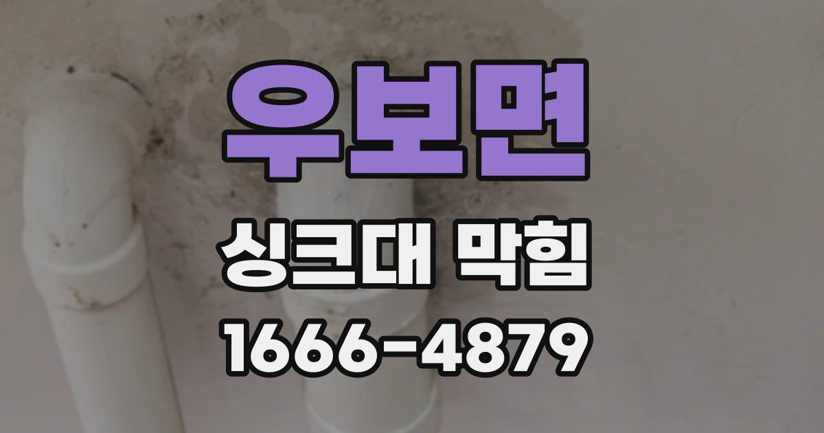 우보면 싱크대 막힘