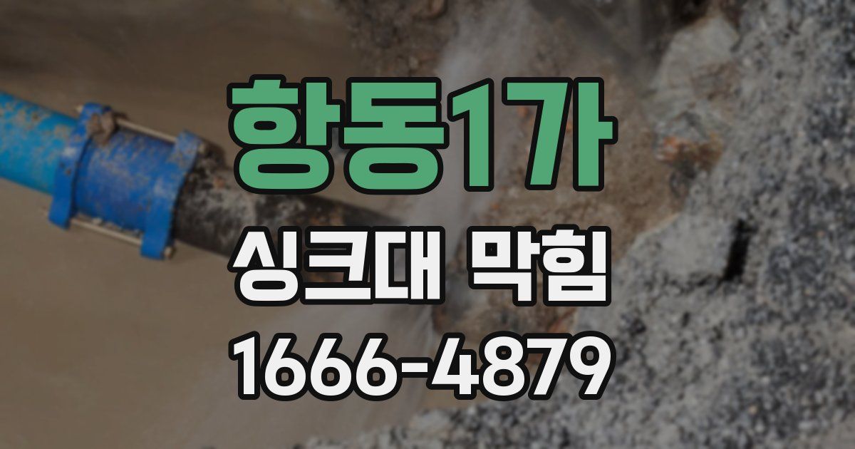 항동1가 싱크대 막힘