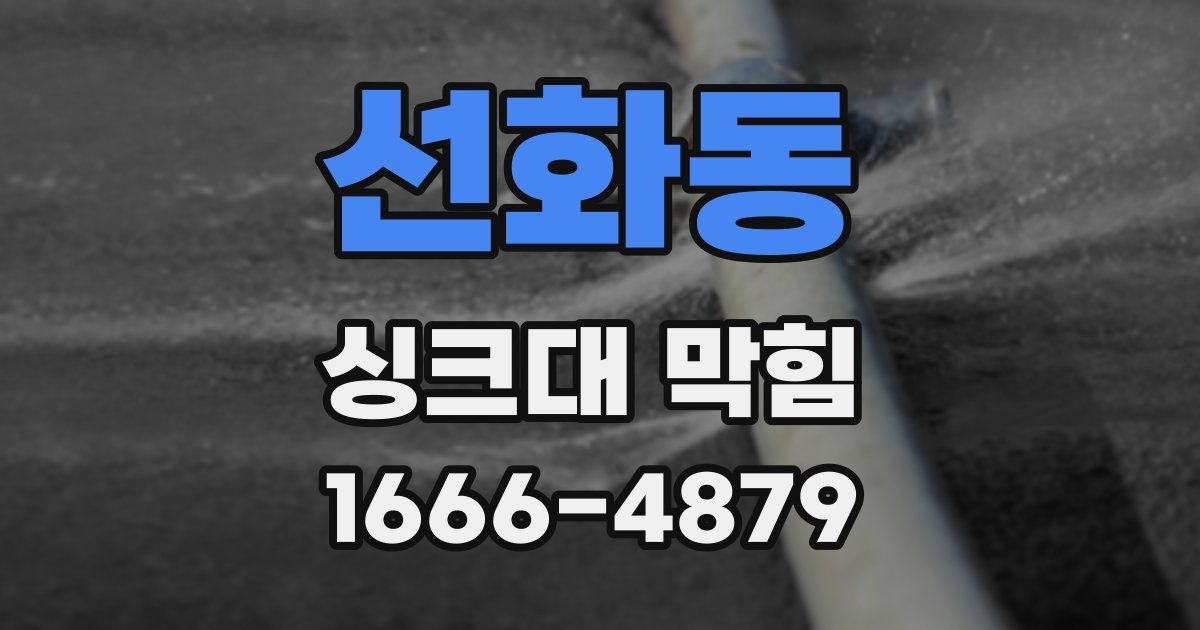 선화동 싱크대 막힘