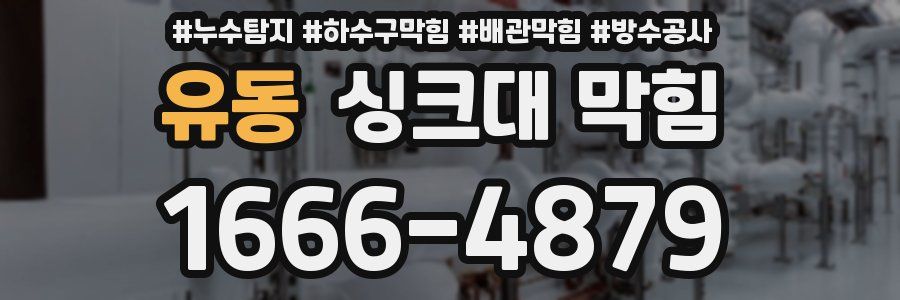 유동 싱크대 막힘