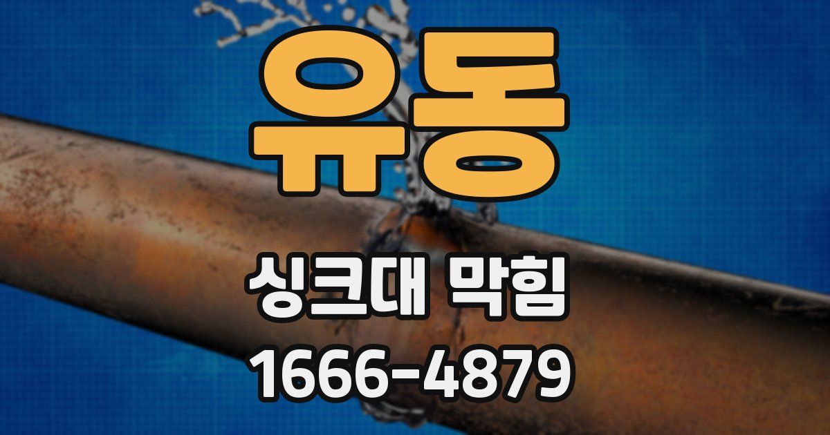 유동 싱크대 막힘