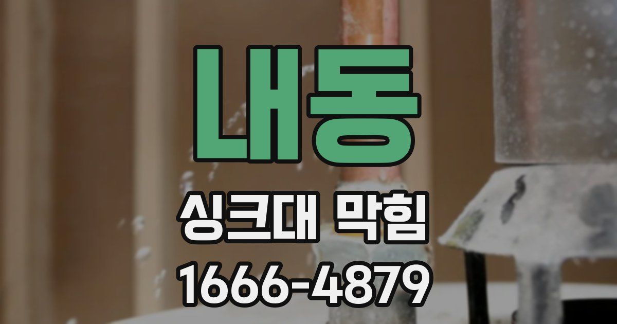 내동 싱크대 막힘
