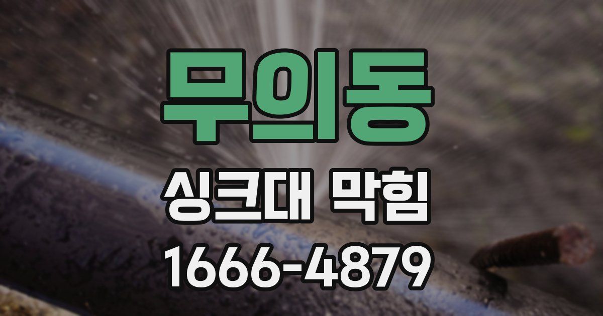 무의동 싱크대 막힘