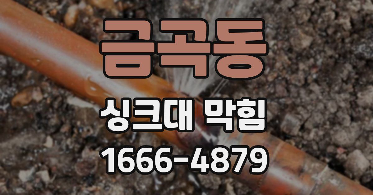 금곡동 싱크대 막힘
