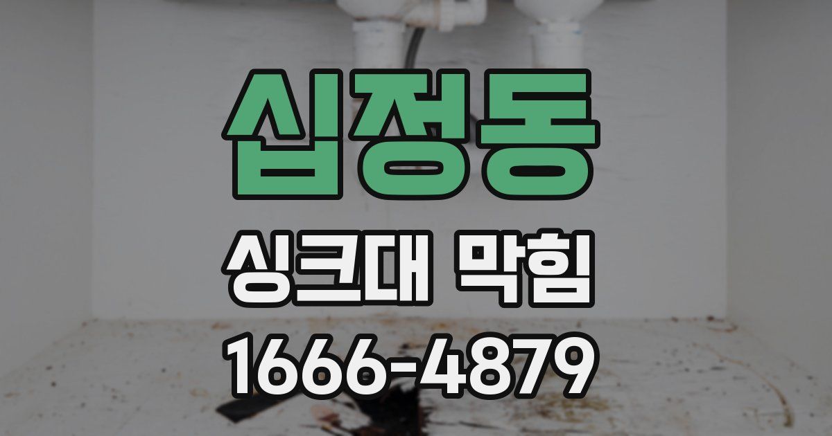 십정동 싱크대 막힘
