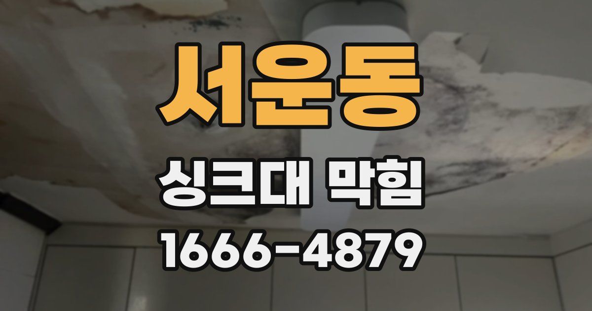 서운동 싱크대 막힘