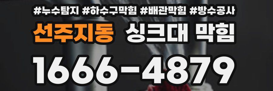 선주지동 싱크대 막힘