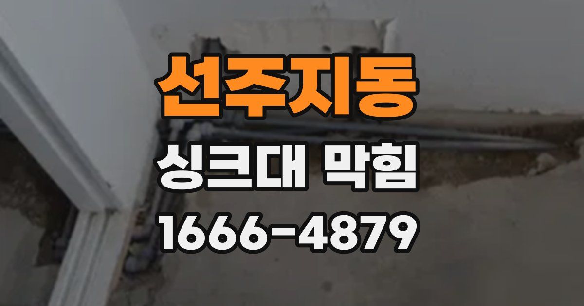선주지동 싱크대 막힘