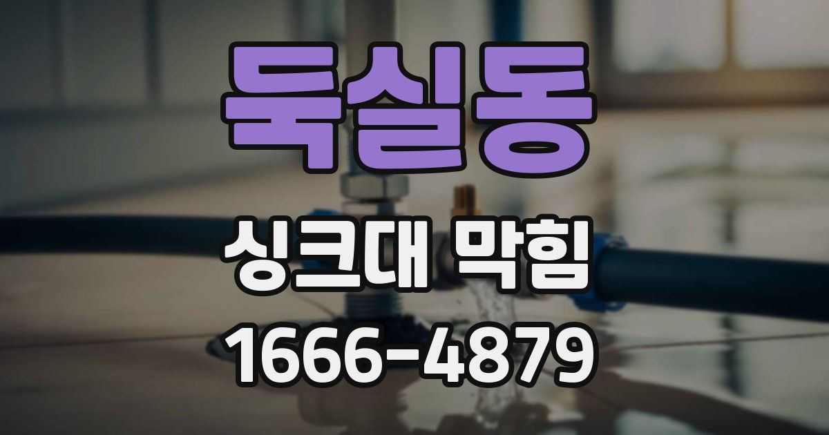둑실동 싱크대 막힘