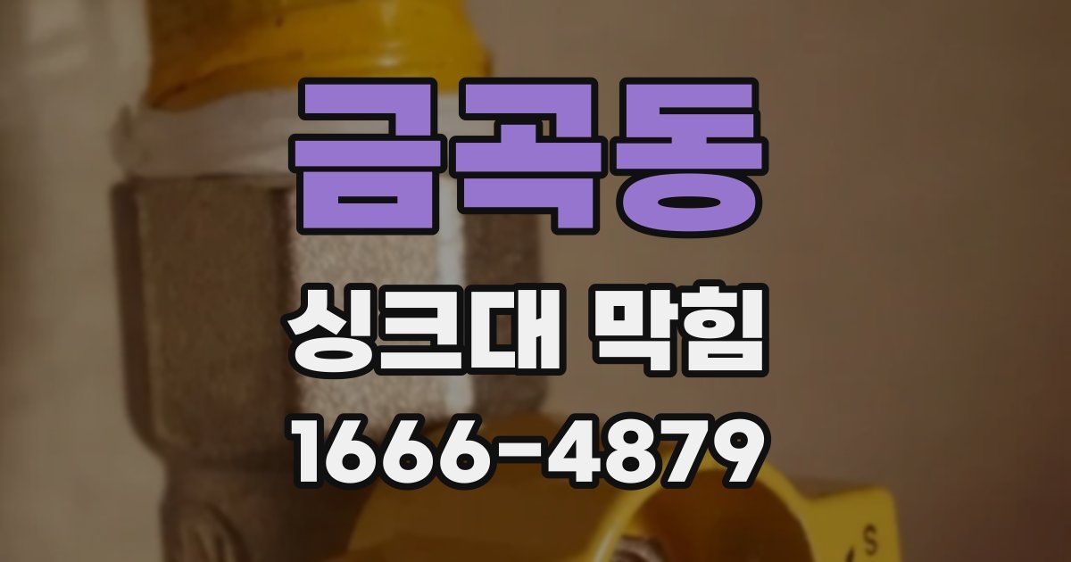 금곡동 싱크대 막힘